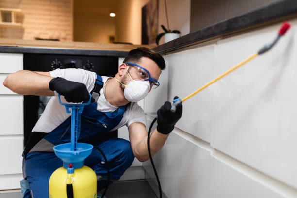 Best Affordable Pest Control Services  in Fort Knox, KY