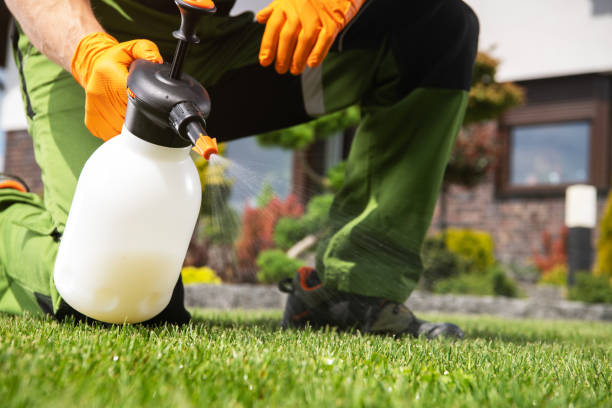 Best Termite Control Services  in Fort Knox, KY