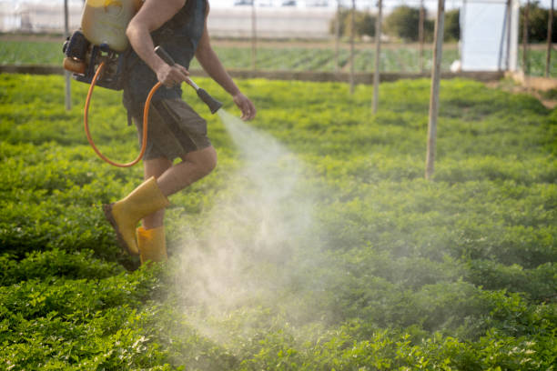 Best Best Pest Control Companies  in Fort Knox, KY