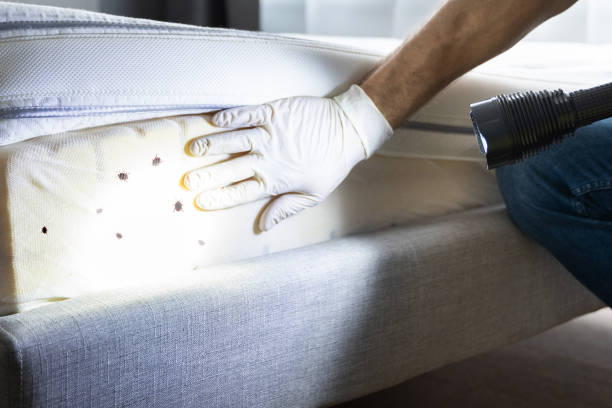 Best Mosquito Control Services  in Fort Knox, KY