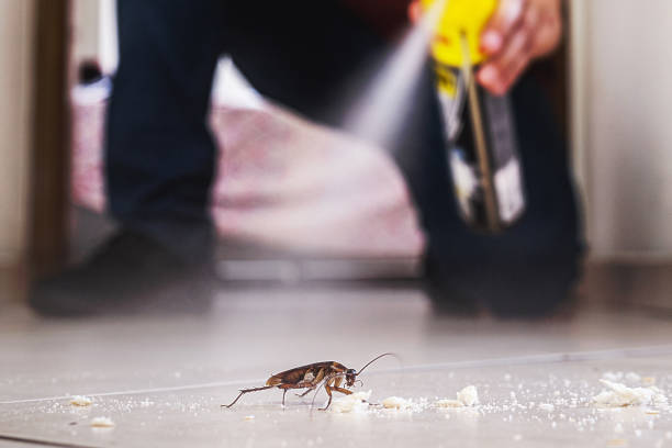 Best Emergency Pest Control  in Fort Knox, KY