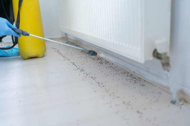 Professional Pest Control in Fort Knox, KY