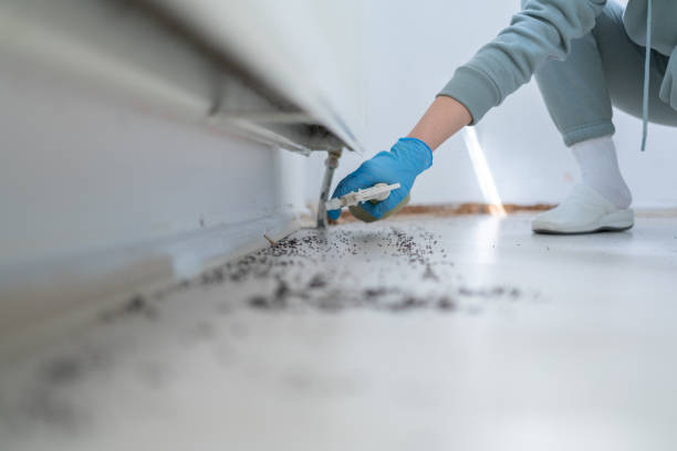 Best Wasp Removal Services  in Fort Knox, KY